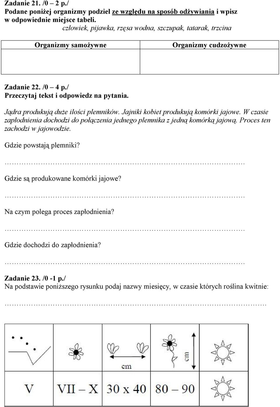 Jądra produkują duże ilości plemników. Jajniki kobiet produkują komórki jajowe. W czasie zapłodnienia dochodzi do połączenia jednego plemnika z jedną komórką jajową.