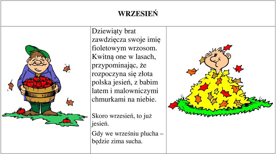 polska jesień, z babim latem i malowniczymi chmurkami na niebie.