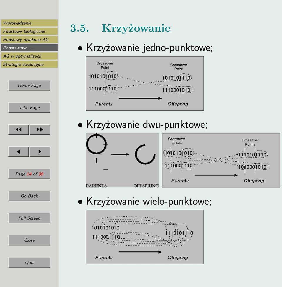Krzyżowanie dwu-punktowe;