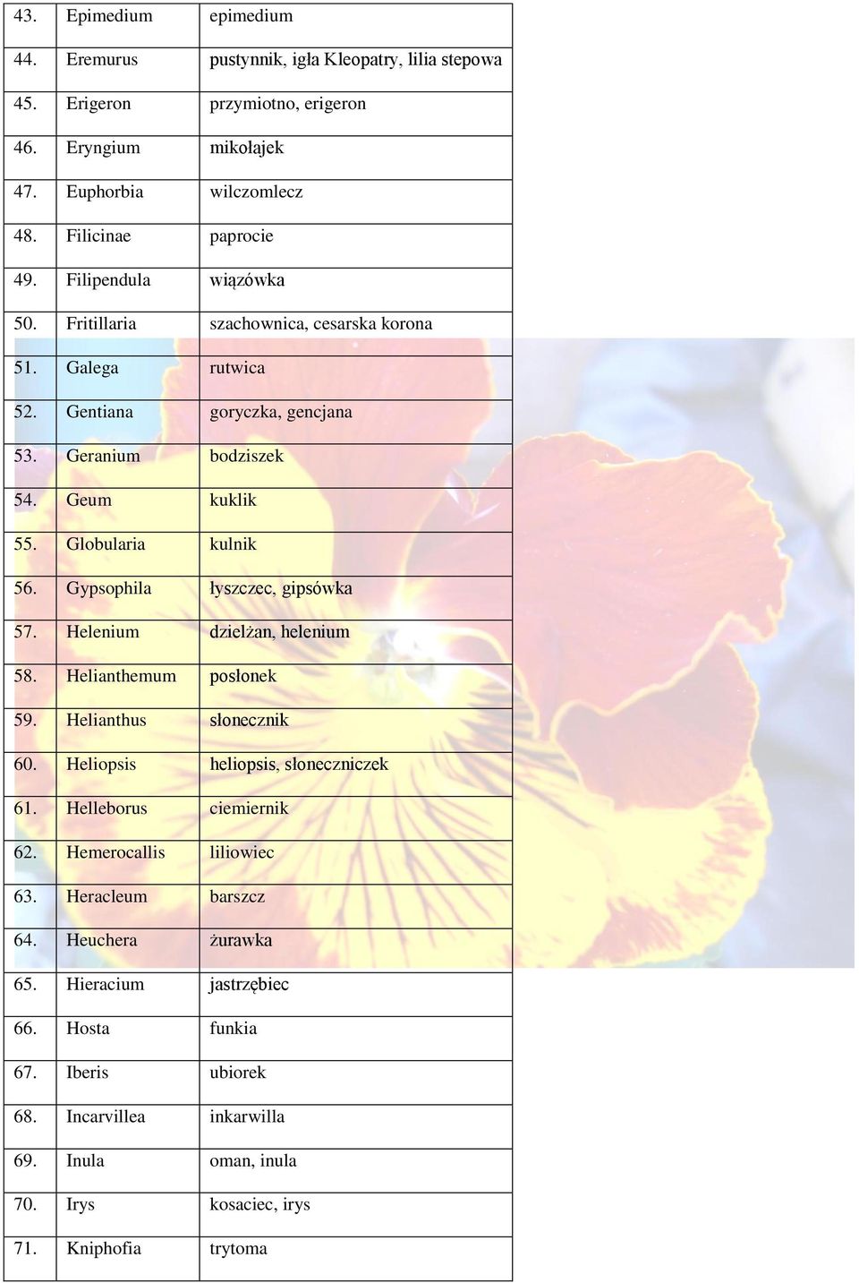 Gypsophila łyszczec, gipsówka 57. Helenium dzielżan, helenium 58. Helianthemum posłonek 59. Helianthus słonecznik 60. Heliopsis heliopsis, słoneczniczek 61. Helleborus ciemiernik 62.