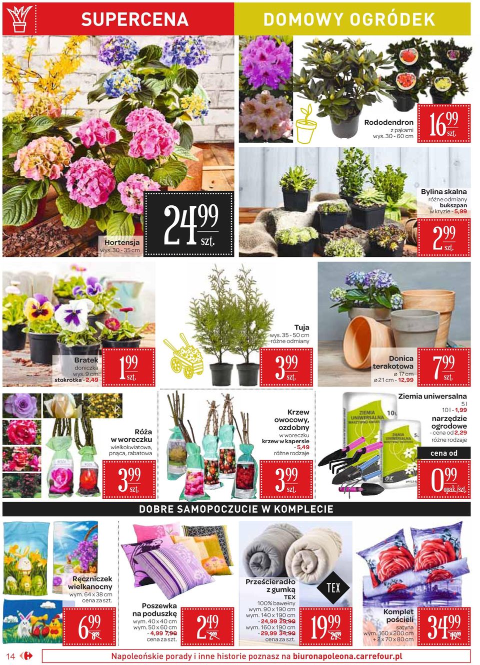 35-50 cm różne odmiany 3 Krzew owocowy, ozdobny w woreczku krzew w kapersie - 5,49 3 DOBRE SAMOPOCZUCIE W KOMPLECIE Donica terakotowa ø 17 cm ø 21 cm - 12, 7 Ziemia uniwersalna 5 l 10 l - 1,