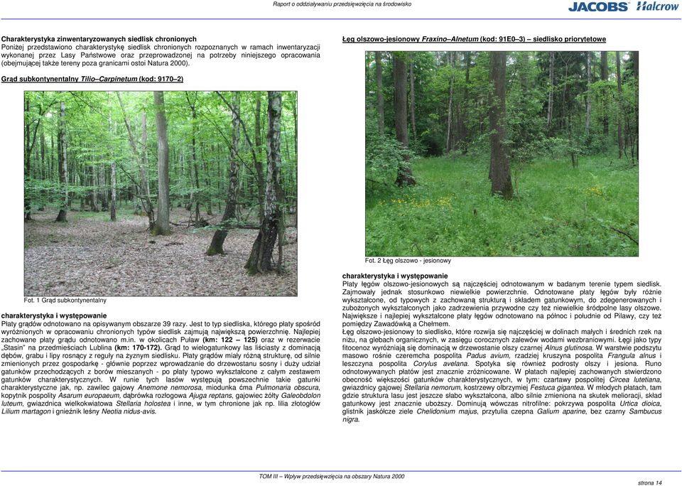 Łęg olszowo-jesionowy Fraxino Alnetum (kod: 91E0 3) siedlisko priorytetowe Grąd subkontynentalny Tilio Carpinetum (kod: 9170 2) Fot. 2 Łęg olszowo - jesionowy Fot.