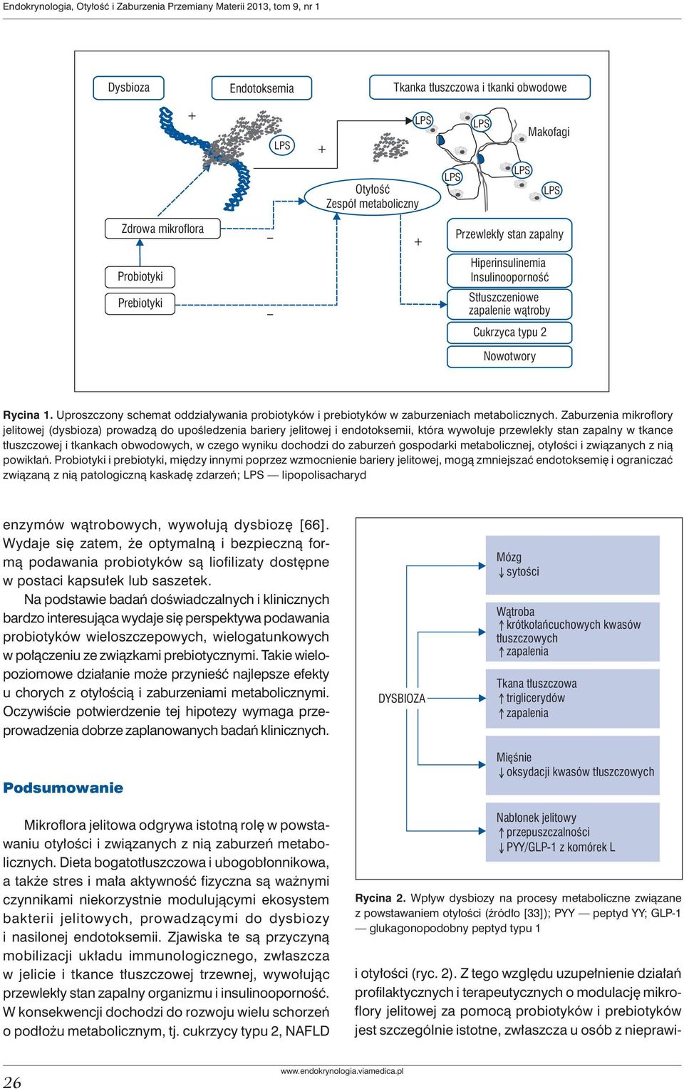 Uproszczony schemat oddziaływania probiotyków i prebiotyków w zaburzeniach metabolicznych.