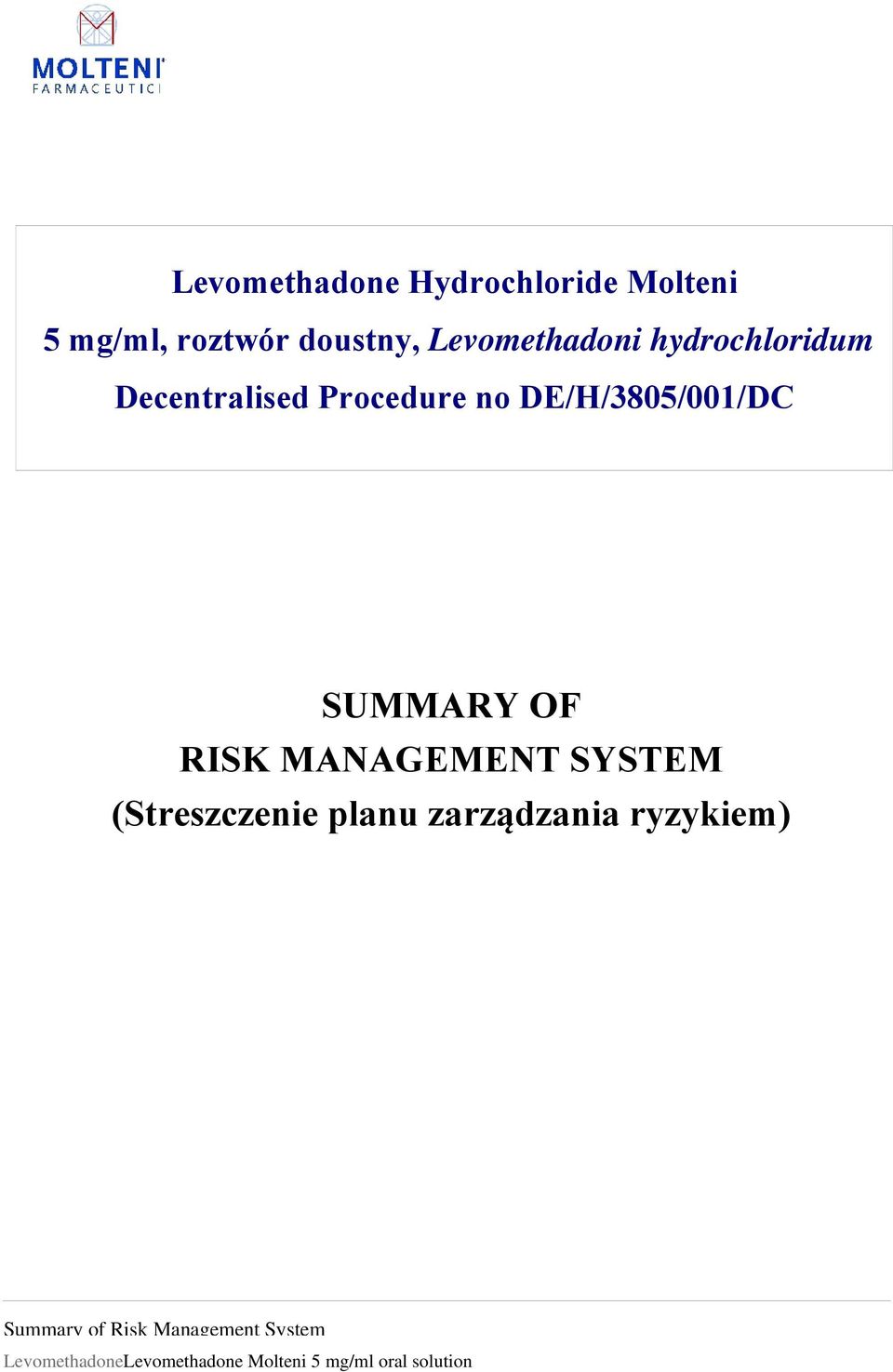 DE/H/3805/001/DC SUMMARY OF RISK MANAGEMENT SYSTEM (Streszczenie