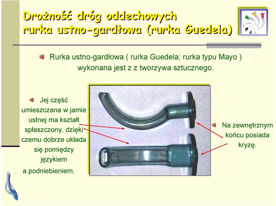 Jej część umieszczana w jamie ustnej ma kształt spłaszczony, dzięki czemu