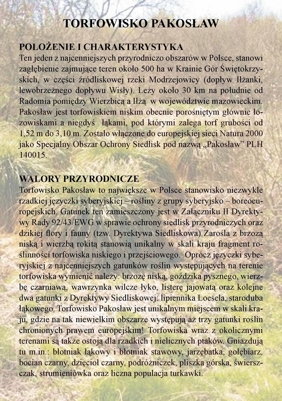 Pakosław jest torfowiskiem niskim obecnie porośniętym głównie łozowiskami a niegdyś łąkami, pod którymi zalega torf grubości od 1,52 m do 3,10 m.