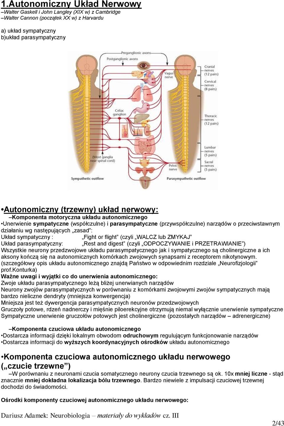 sympatyczny : Fight or flight (czyli WALCZ lub ZMYKAJ Układ parasympatyczny: Rest and digest (czyli ODPOCZYWANIE i PRZETRAWIANIE ) Wszystkie neurony przedzwojowe układu parasympatycznego jak i