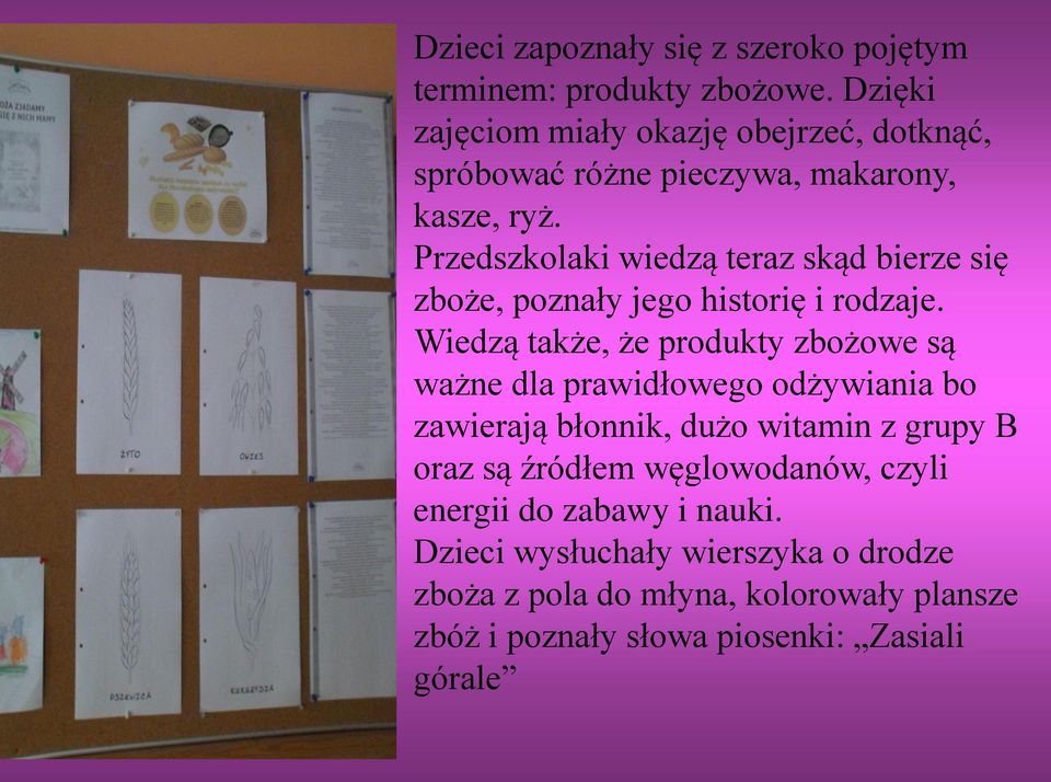 Przedszkolaki wiedzą teraz skąd bierze się zboże, poznały jego historię i rodzaje.