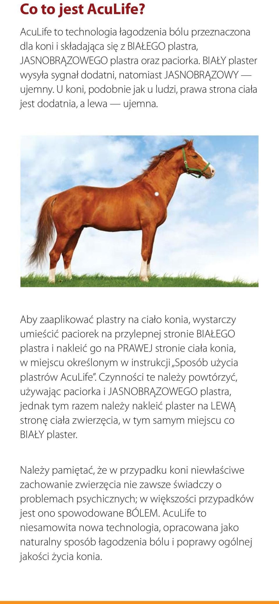 Aby zaaplikować plastry na ciało konia, wystarczy umieścić paciorek na przylepnej stronie BIAŁEGO plastra i nakleić go na PRAWEJ stronie ciała konia, w miejscu określonym w instrukcji Sposób użycia