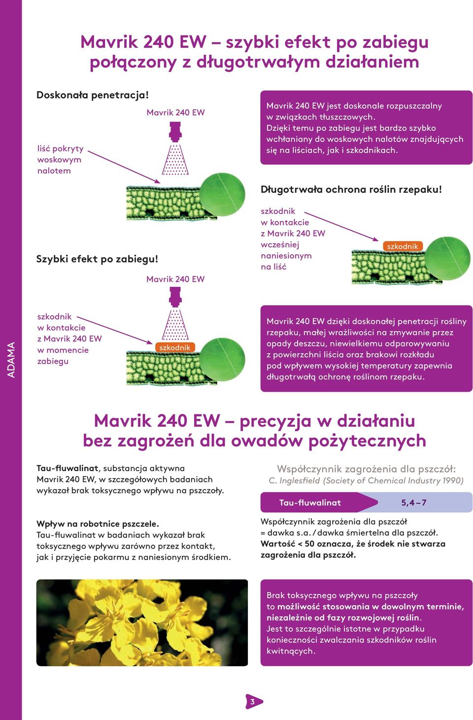 Dzięki temu po zabiegu jest bardzo szybko wchłaniany do woskowych nalotów znajdujących się na liściach, jak i ach. Długotrwała ochrona roślin rzepaku! Szybki efekt po zabiegu!