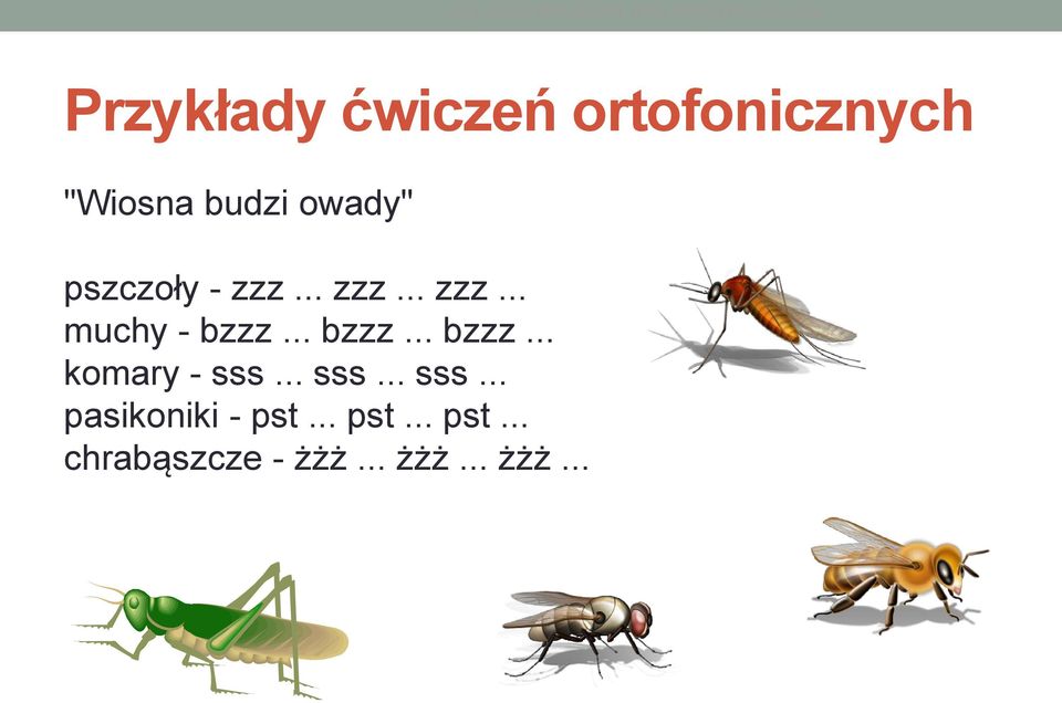 .. bzzz... bzzz... komary - sss... sss... sss... pasikoniki - pst.