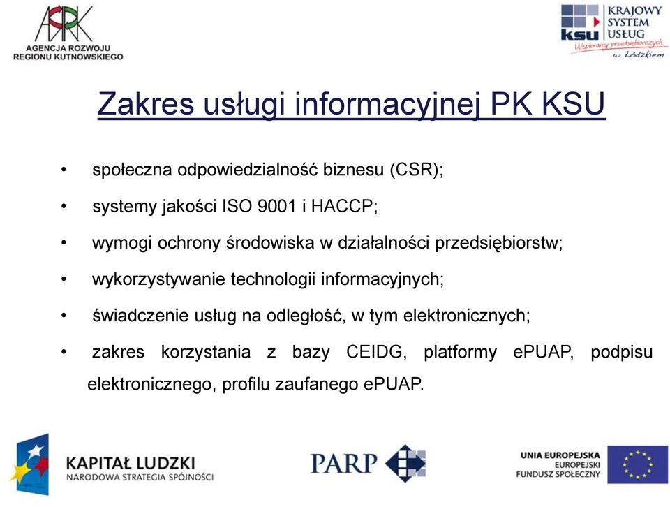 wykorzystywanie technologii informacyjnych; świadczenie usług na odległość, w tym