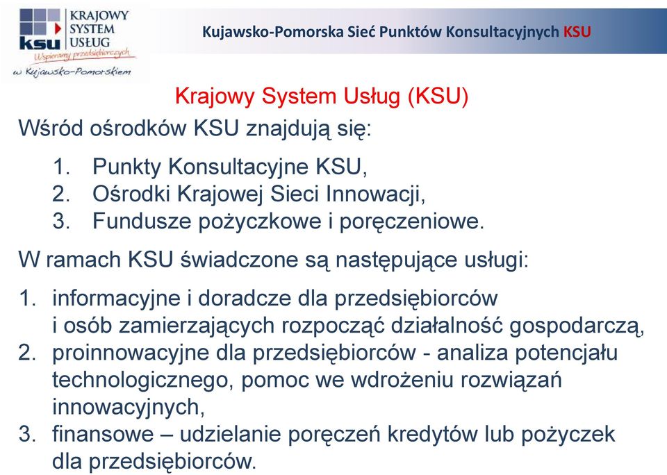 informacyjne i doradcze dla przedsiębiorców i osób zamierzających rozpocząć działalność gospodarczą, 2.