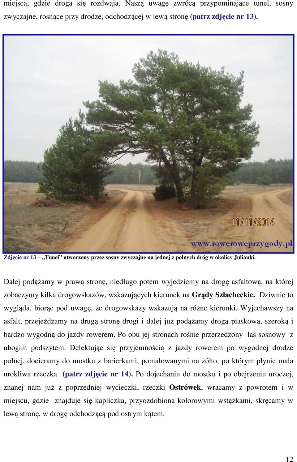 Dalej podążamy w prawą stronę, niedługo potem wyjedziemy na drogę asfaltową, na której zobaczymy kilka drogowskazów, wskazujących kierunek na Grądy Szlacheckie.