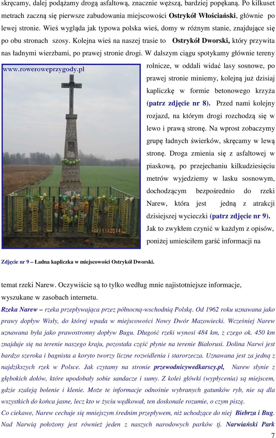 Kolejna wieś na naszej trasie to Ostrykół Dworski, który przywita nas ładnymi wierzbami, po prawej stronie drogi.