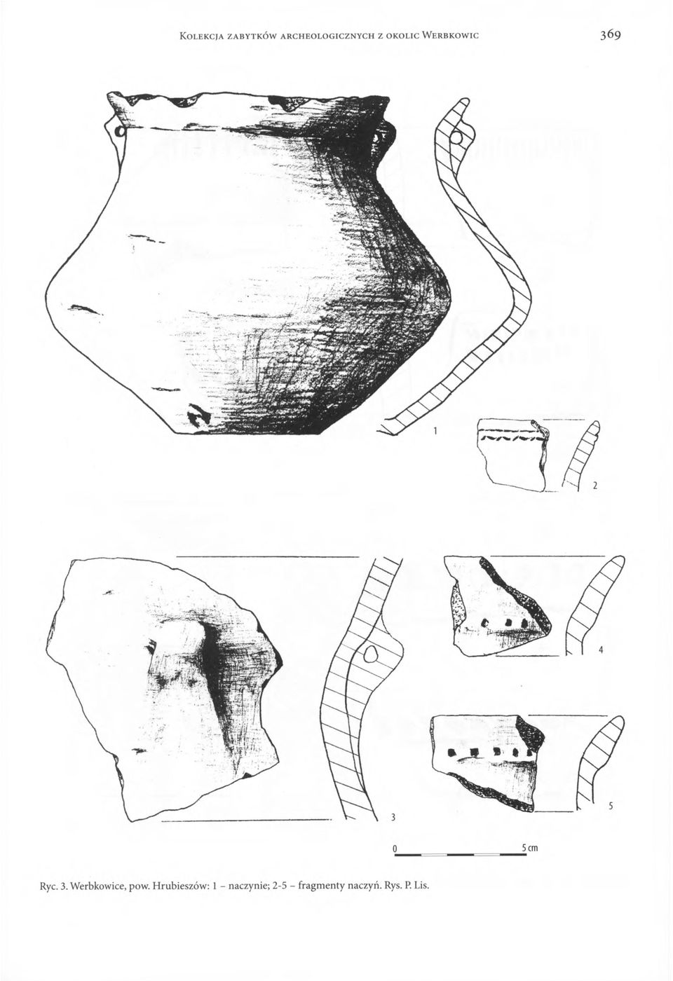ic Ryc. 3. Werbkowice, pow.