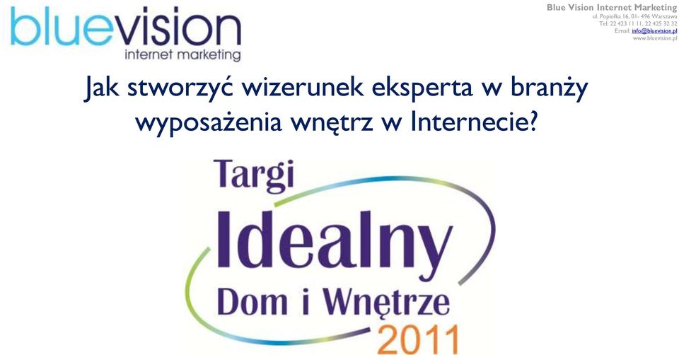 Blue Vision Internet Marketing ul.