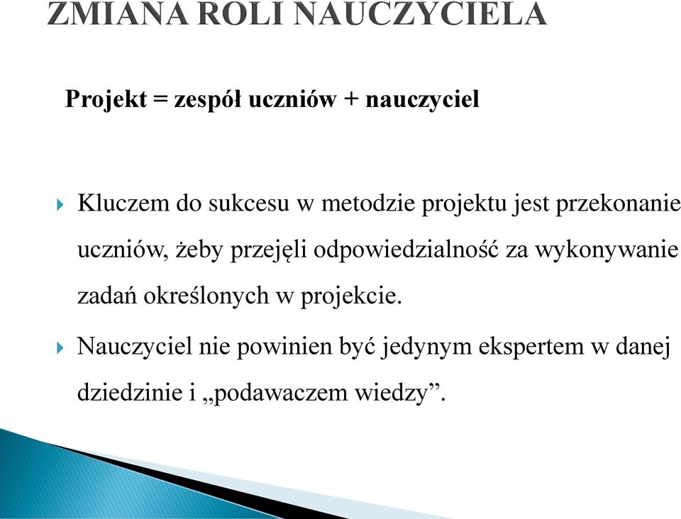 odpowiedzialność za wykonywanie zadań określonych w projekcie.