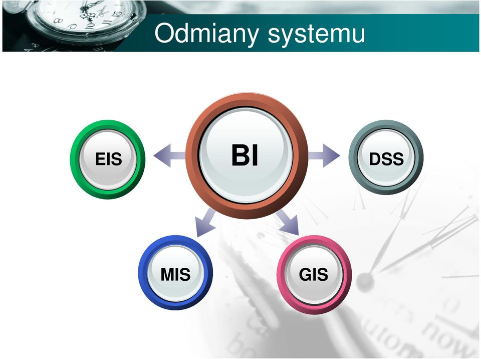 EIS BI