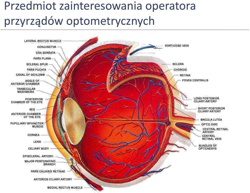 operatora
