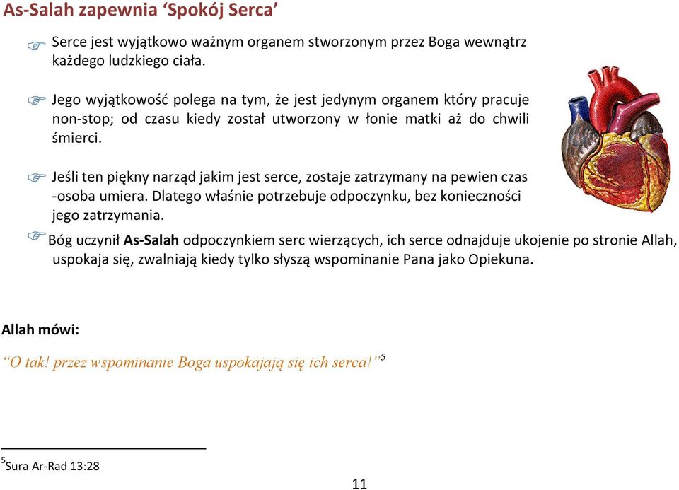 Jeśli ten piękny narząd jakim jest serce, zostaje zatrzymany na pewien czas -osoba umiera. Dlatego właśnie potrzebuje odpoczynku, bez konieczności jego zatrzymania.