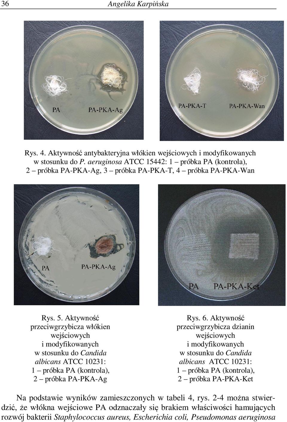 Aktywność przeciwgrzybicza włókien wejściowych i modyfikowanych w stosunku do Candida albicans ATCC 10231: 1 próbka PA (kontrola), 2 próbka PA-PKA-Ag Rys. 6.