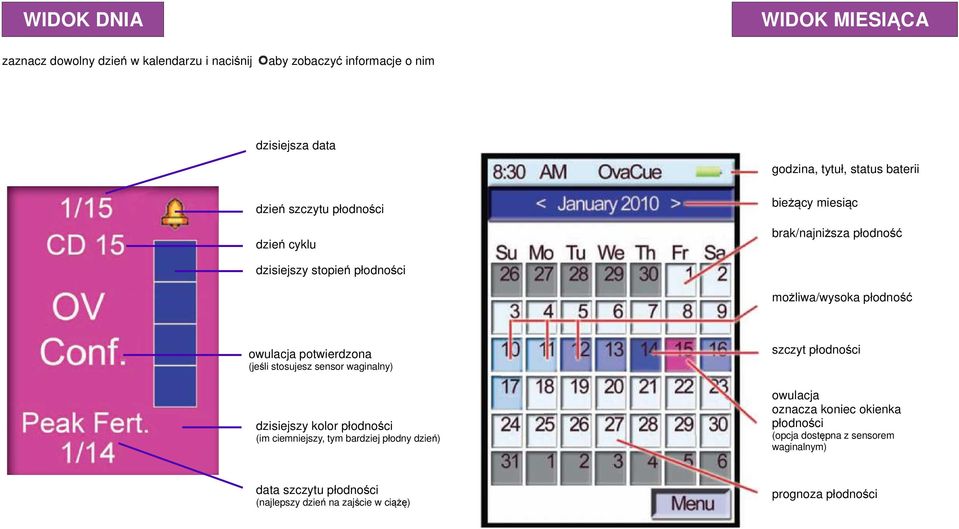potwierdzona (jeśli stosujesz sensor waginalny) dzisiejszy kolor płodności (im ciemniejszy, tym bardziej płodny dzień) szczyt płodności owulacja