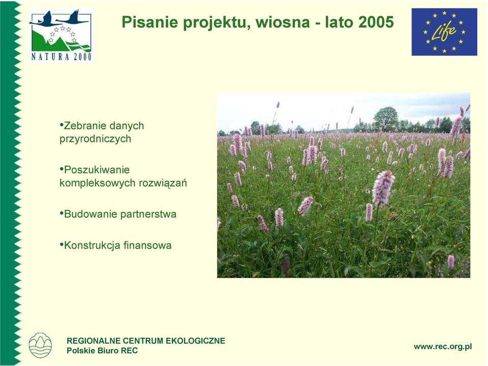 Poszukiwanie kompleksowych rozwiązań
