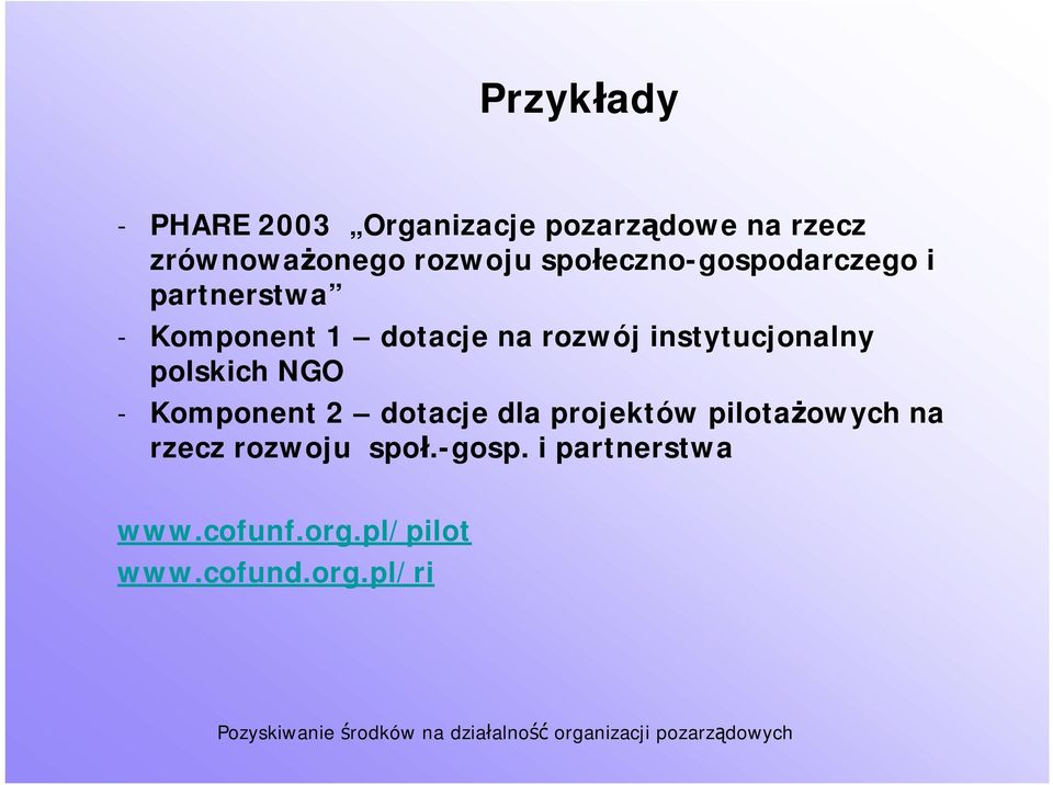 instytucjonalny polskich NGO - Komponent 2 dotacje dla projektów pilotażowych