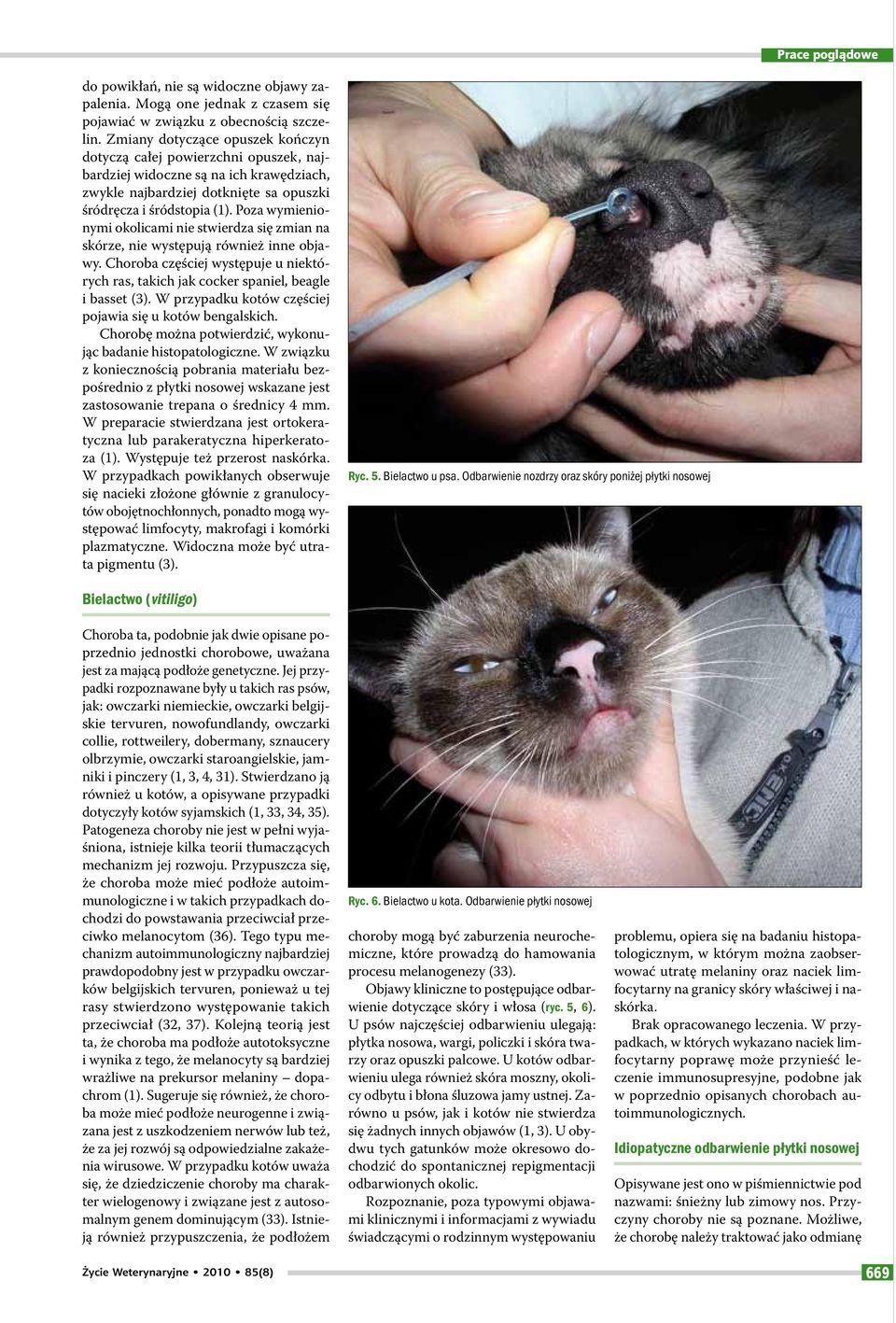 Poza wymienionymi okolicami nie stwierdza się zmian na skórze, nie występują również inne objawy. Choroba częściej występuje u niektórych ras, takich jak cocker spaniel, beagle i basset (3).