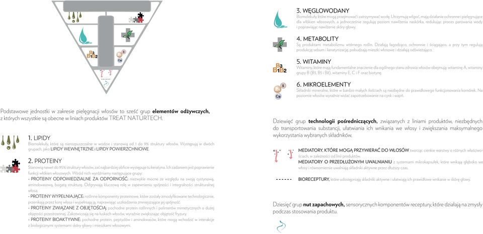 głowy. 4. METABOLITY Są produktami metabolizmu wtórnego roślin.