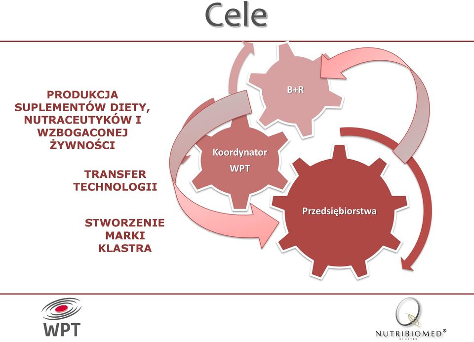 TRANSFER TECHNOLOGII STWORZENIE MARKI