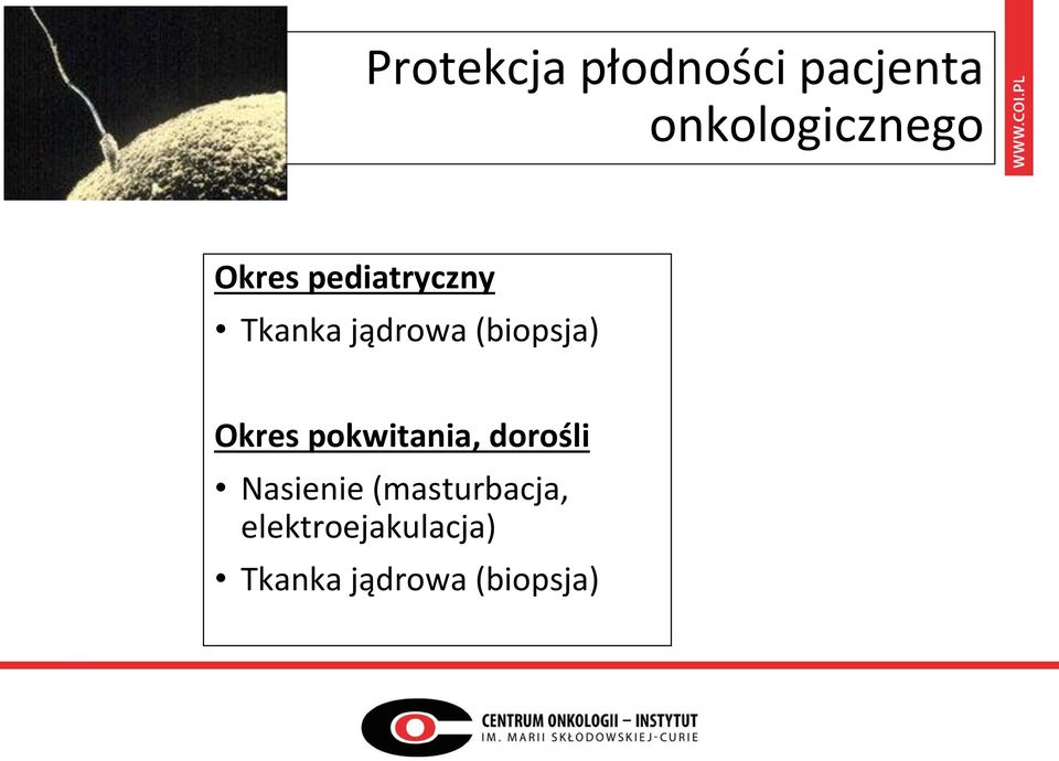 Okres pokwitania, dorośli Nasienie