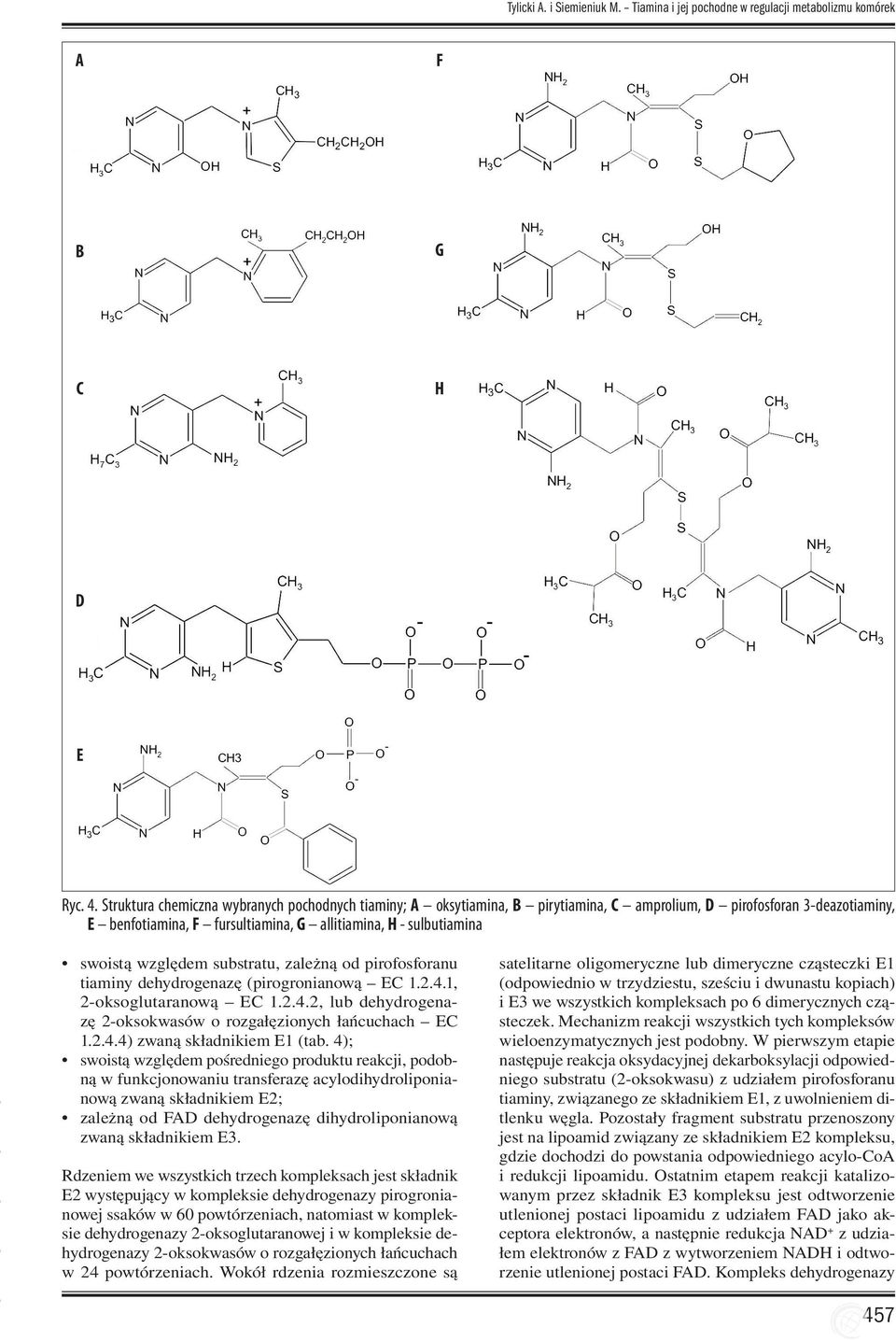 względem substratu, zależną od pirofosforanu tiaminy dehydrogenazę (pirogronianową EC 1.2.4.1, 2-oksoglutaranową EC 1.2.4.2, lub dehydrogenazę 2-oksokwasów o rozgałęzionych łańcuchach EC 1.2.4.4) zwaną składnikiem E1 (tab.