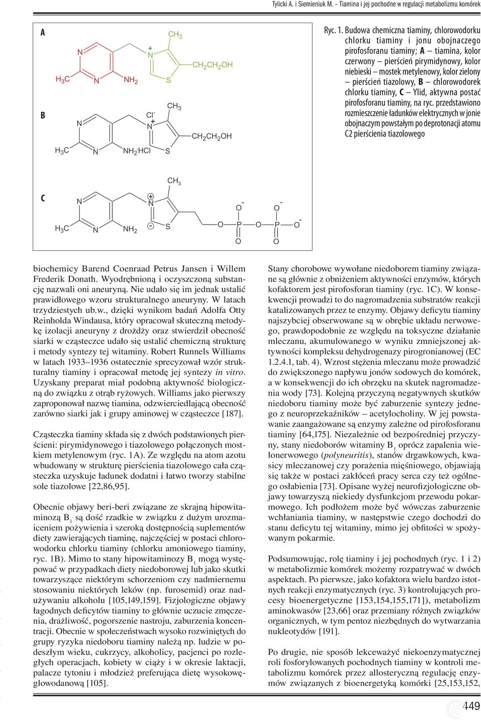 pierścień tiazolowy, B chlorowodorek chlorku tiaminy, C Ylid, aktywna postać pirofosforanu tiaminy, na ryc.