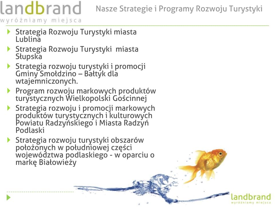 Program rozwoju markowych produktów turystycznych Wielkopolski Gościnnej Strategia rozwoju i promocji markowych produktów