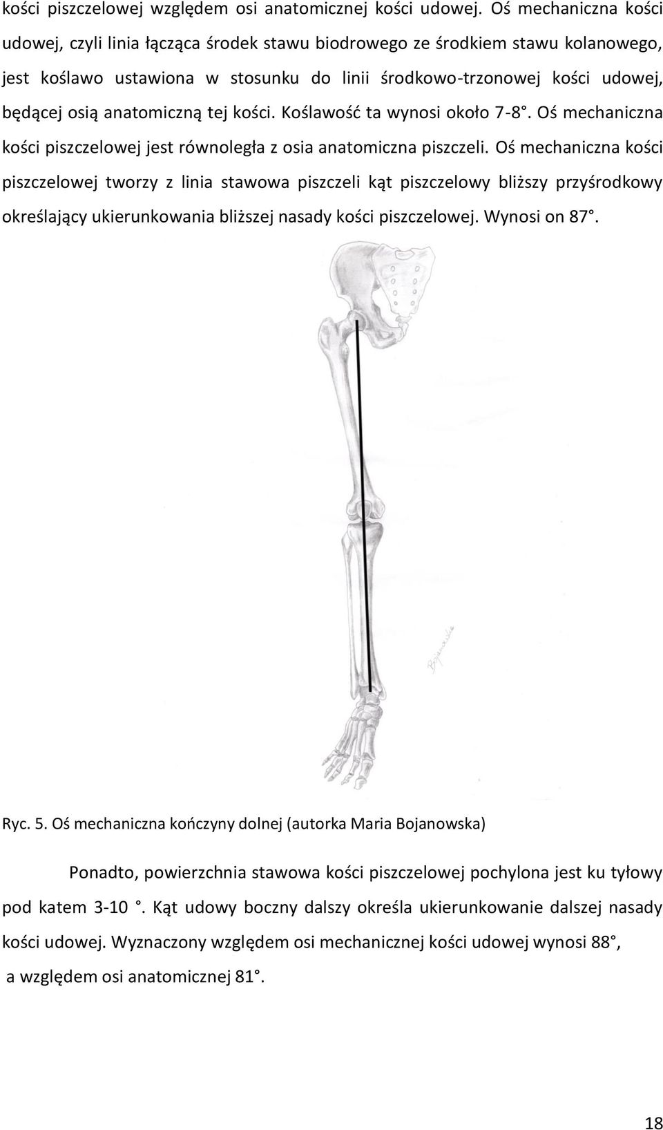 anatomiczną tej kości. Koślawość ta wynosi około 7-8. Oś mechaniczna kości piszczelowej jest równoległa z osia anatomiczna piszczeli.