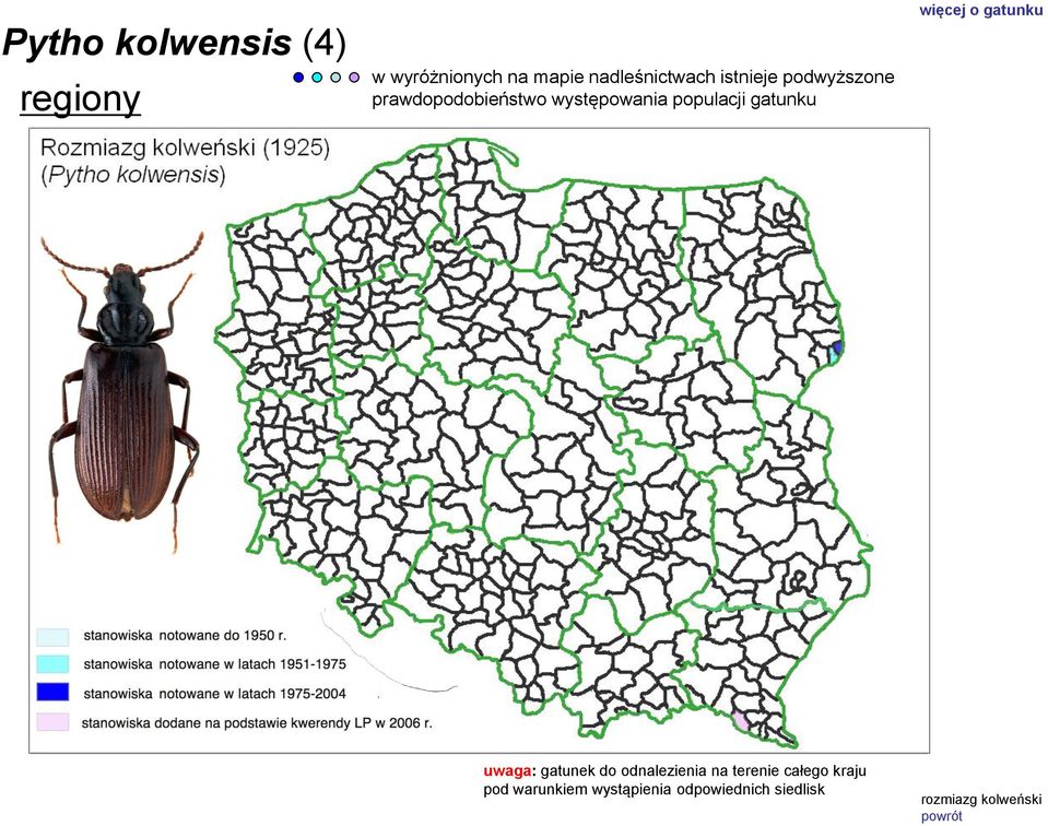 gatunku więcej o gatunku uwaga: gatunek do odnalezienia na terenie