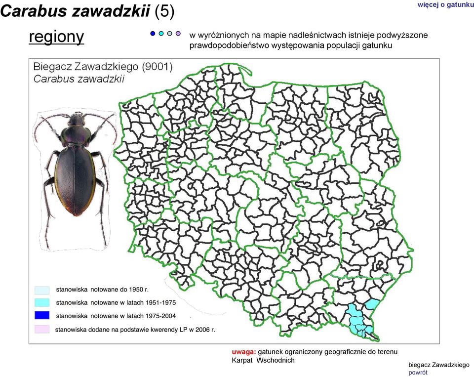występowania populacji gatunku więcej o gatunku uwaga: