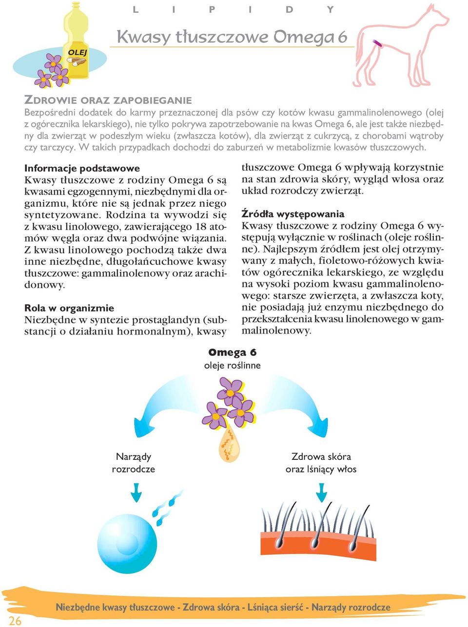 W takich przypadkach dochodzi do zaburzeƒ w metabolizmie kwasów t uszczowych.