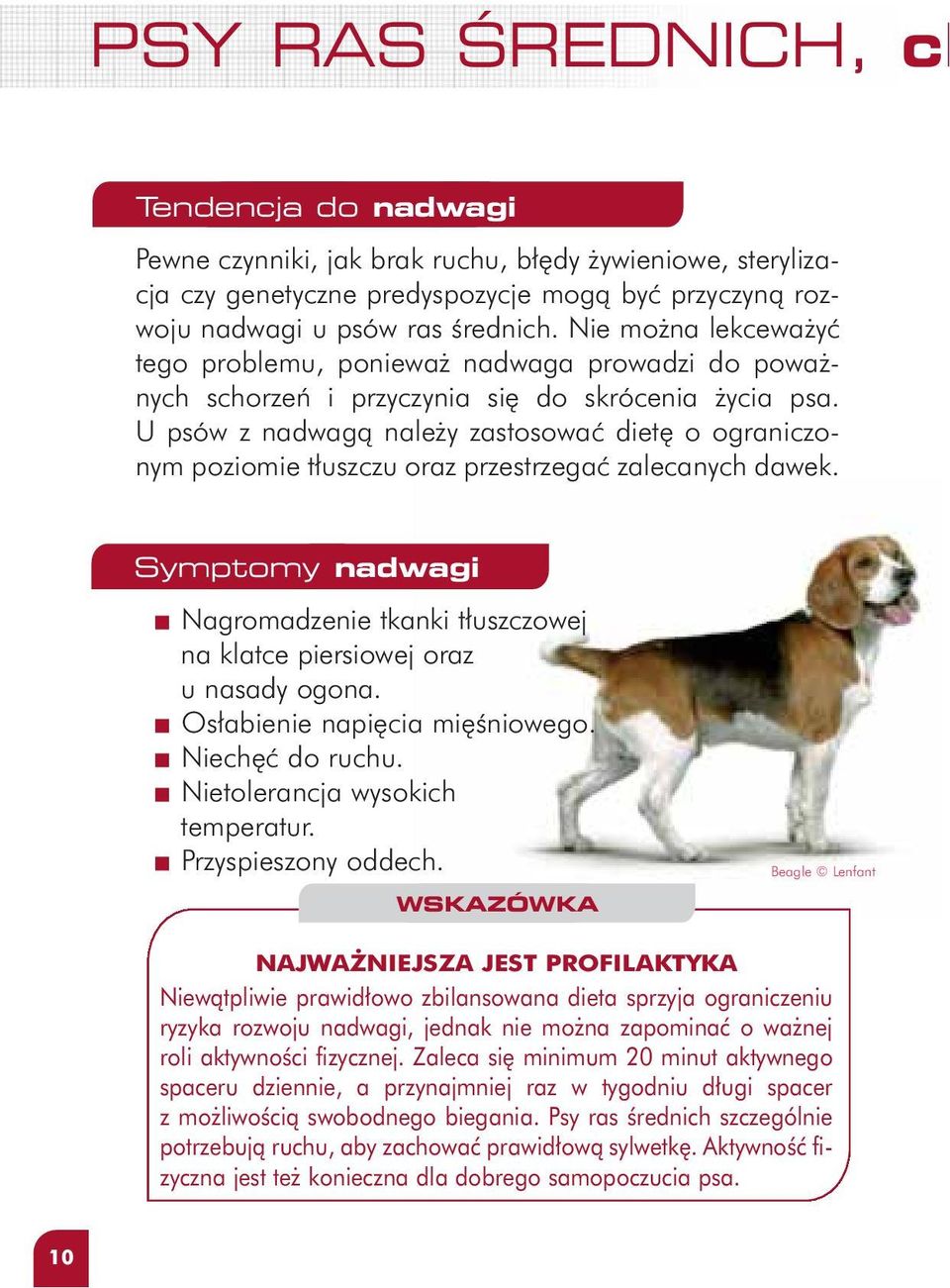 U psów z nadwagà nale y zastosowaç diet o ograniczonym poziomie t uszczu oraz przestrzegaç zalecanych dawek. Symptomy nadwagi Nagromadzenie tkanki t uszczowej na klatce piersiowej oraz u nasady ogona.