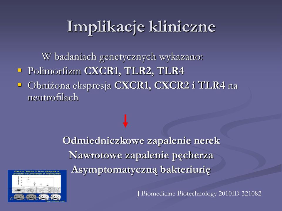 neutrofilach Odmiedniczkowe zapalenie nerek Nawrotowe zapalenie