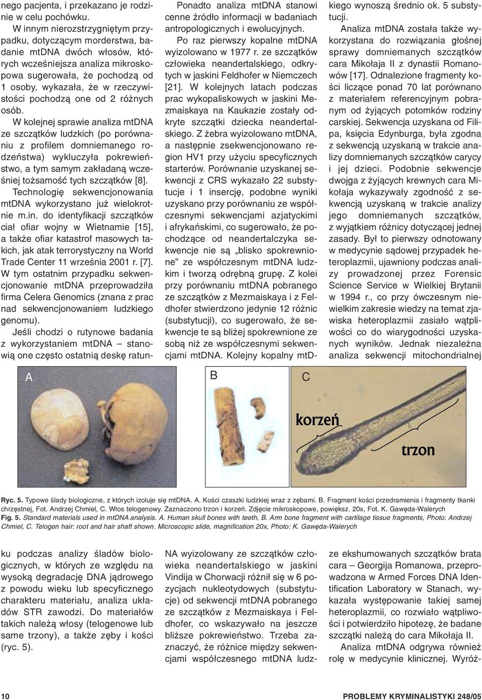 W kolejnych latach podczas prac wykopaliskowych w jaskini Mezmaiskaya na Kaukazie zosta³y odkryte szcz¹tki dziecka neandertalskiego.