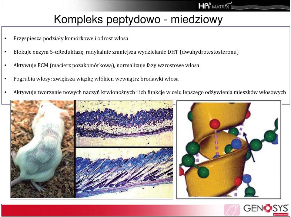 pozakomórkową), normalizuje fazy wzrostowe włosa Pogrubia włosy: zwiększa wiązkę włókien wewnątrz