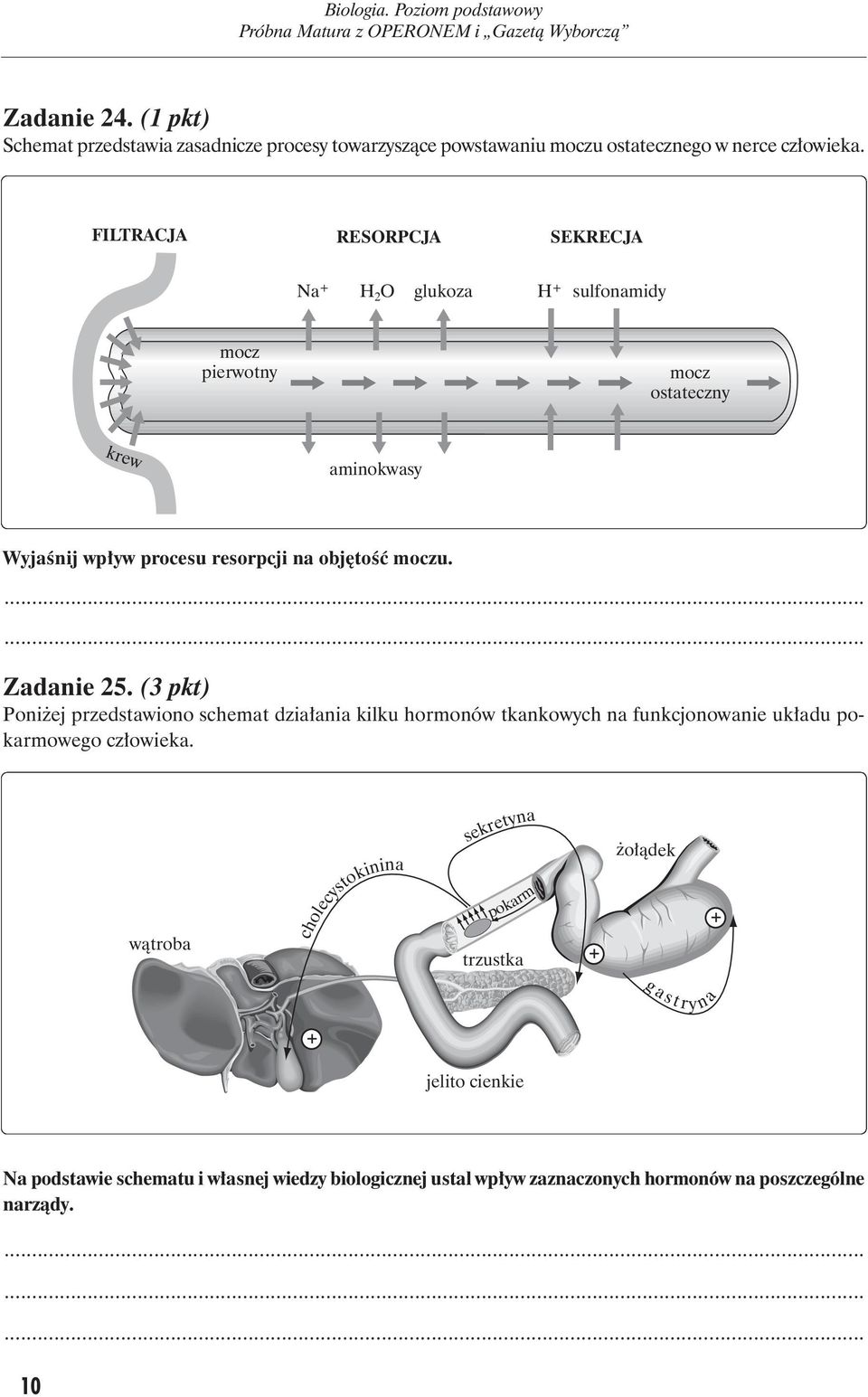 moczu. Zadanie 25. (3 pkt) Poniżej przedstawiono schemat działania kilku hormonów tkankowych na funkcjonowanie układu pokarmowego człowieka.