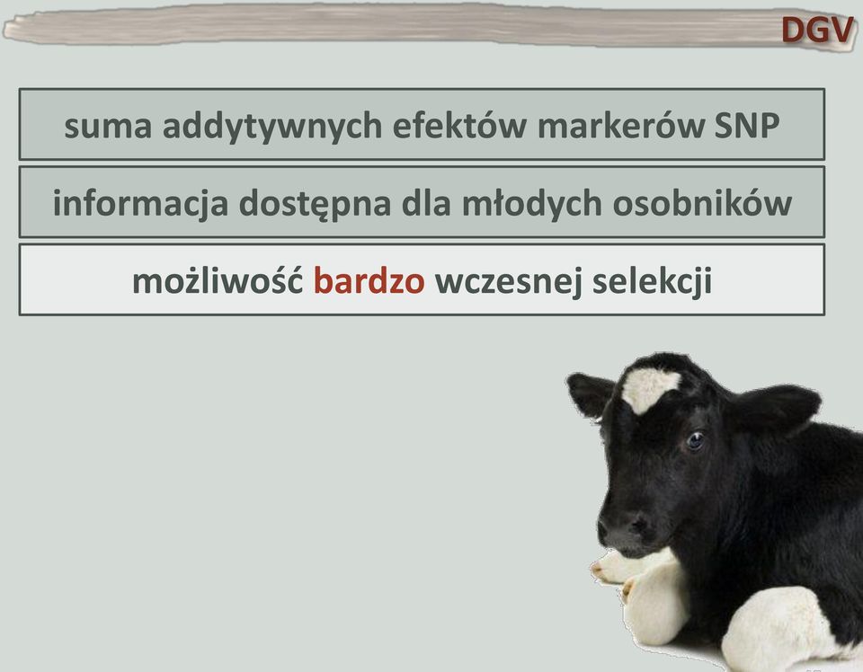 dostępna dla młodych