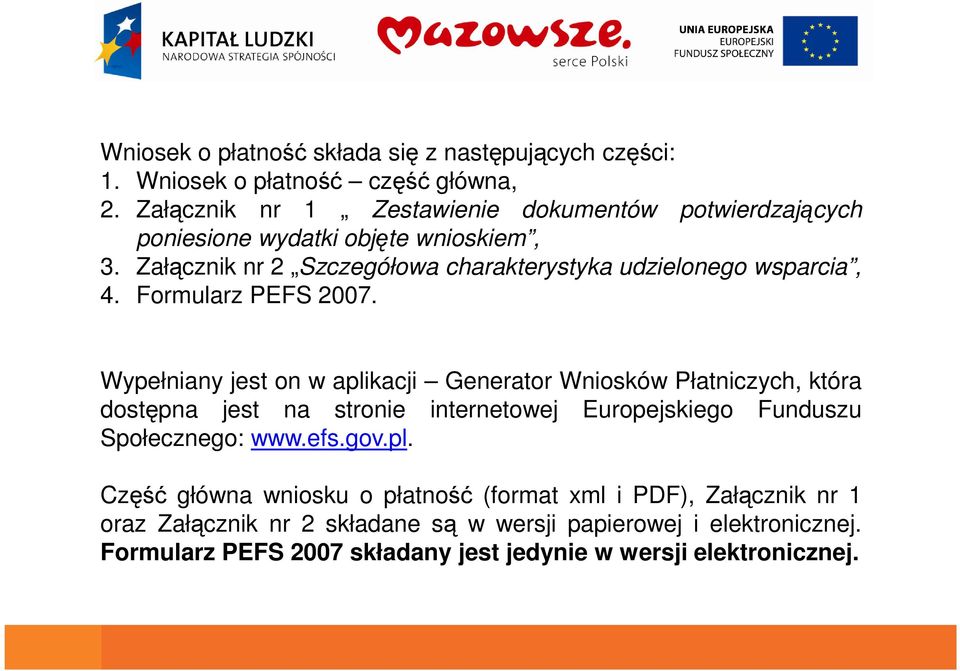 Załącznik nr 2 Szczegółowa charakterystyka udzielonego wsparcia, 4. Formularz PEFS 2007.