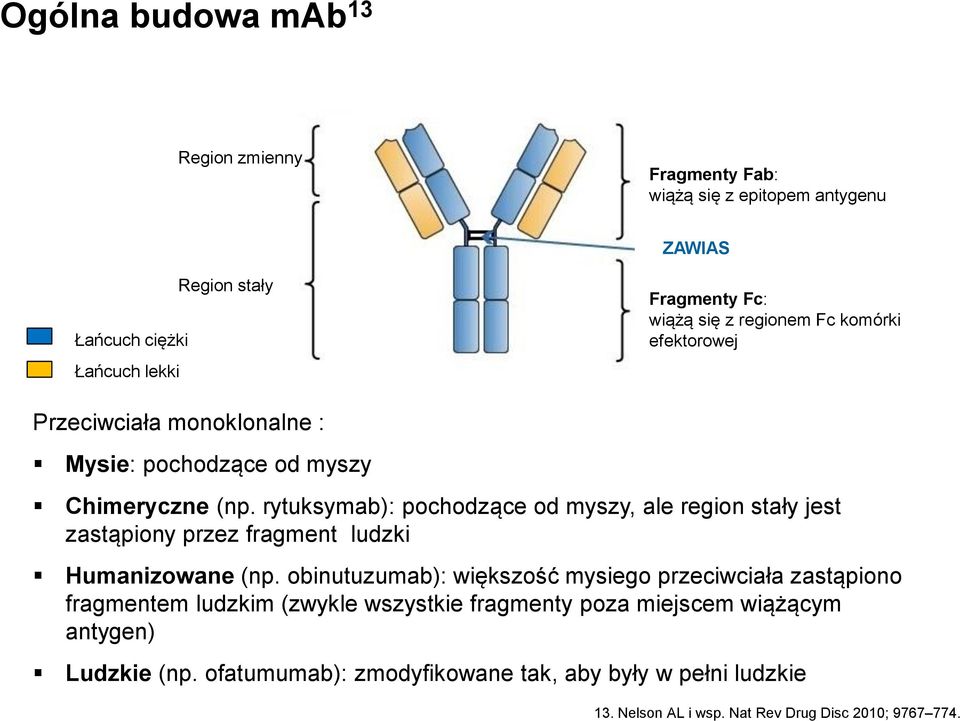 rytuksymab): pochodzące od myszy, ale region stały jest zastąpiony przez fragment ludzki Humanizowane (np.