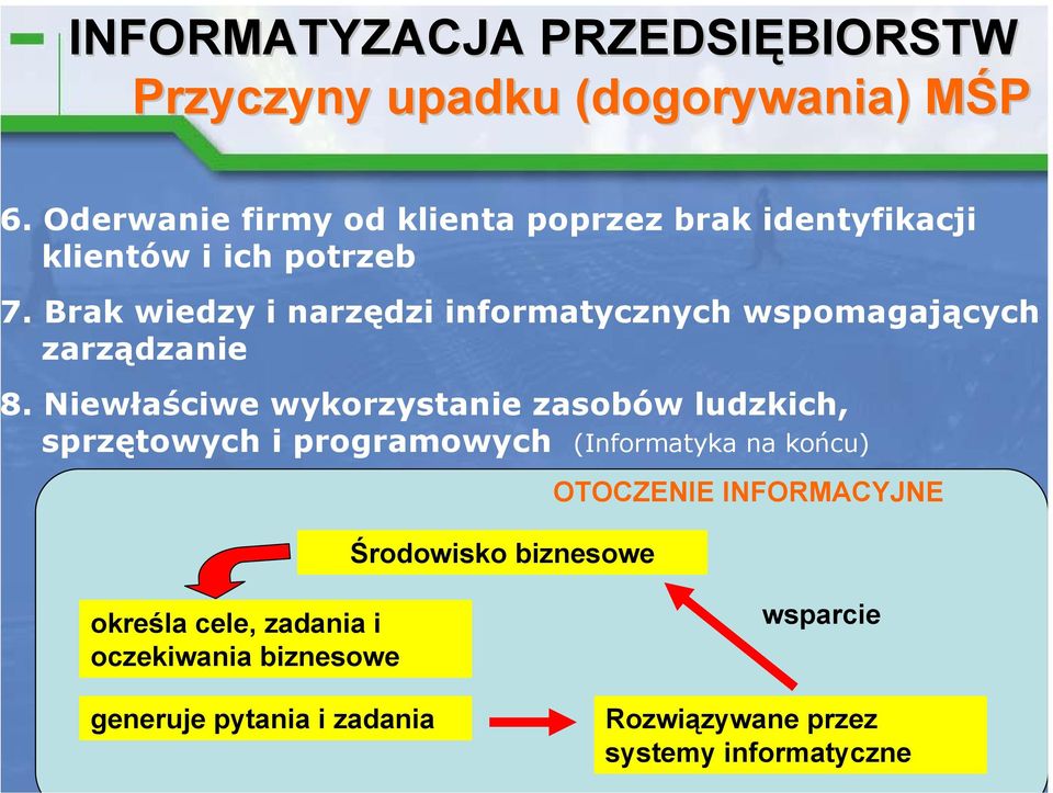 Niewłaściwe wykorzystanie zasobów ludzkich, sprzętowych i programowych (Informatyka na końcu) Środowisko biznesowe