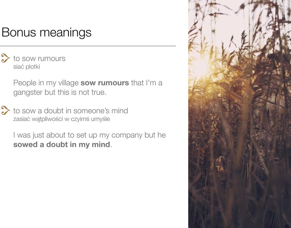 to sow a doubt in someone s mind zasiać wątpliwości w czyimś